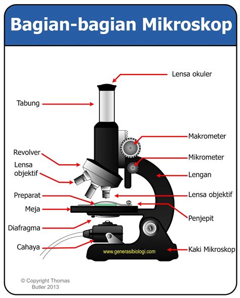 mikroskop isimleri
